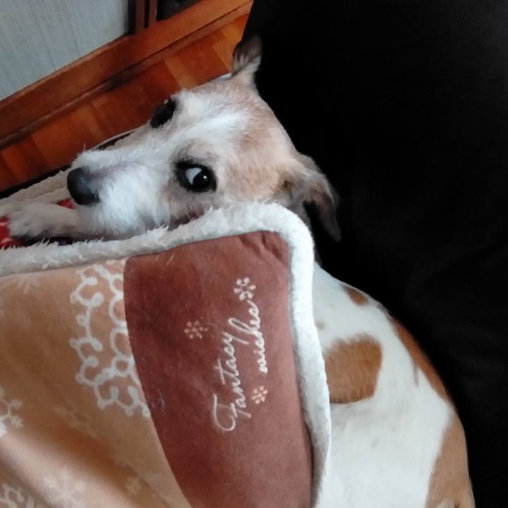 9937f993 b262 426d 86a1 505d022e8ce6 1561973477553