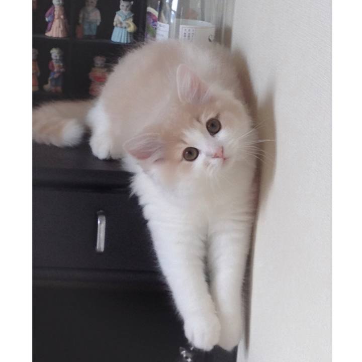 9938128f bb52 41bd 9076 3b648cf6c32e 1536063980598