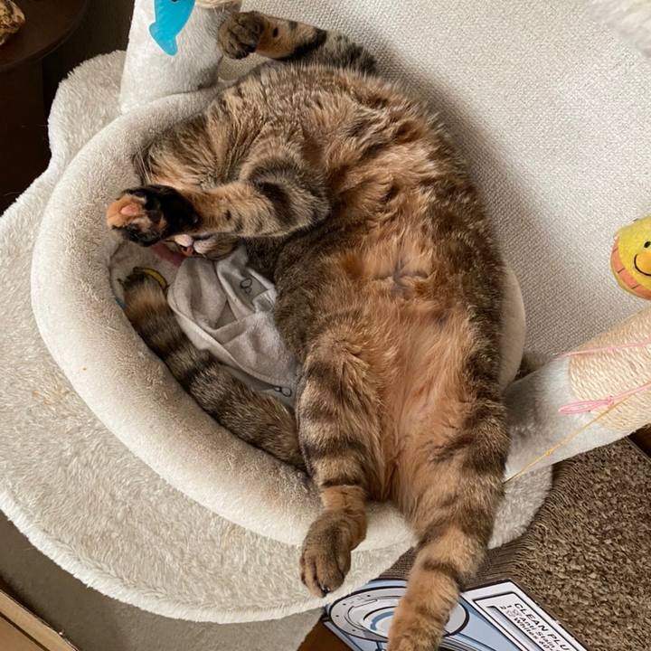 993819f8 e786 4279 87d9 52dcecf9547e 1661244574736