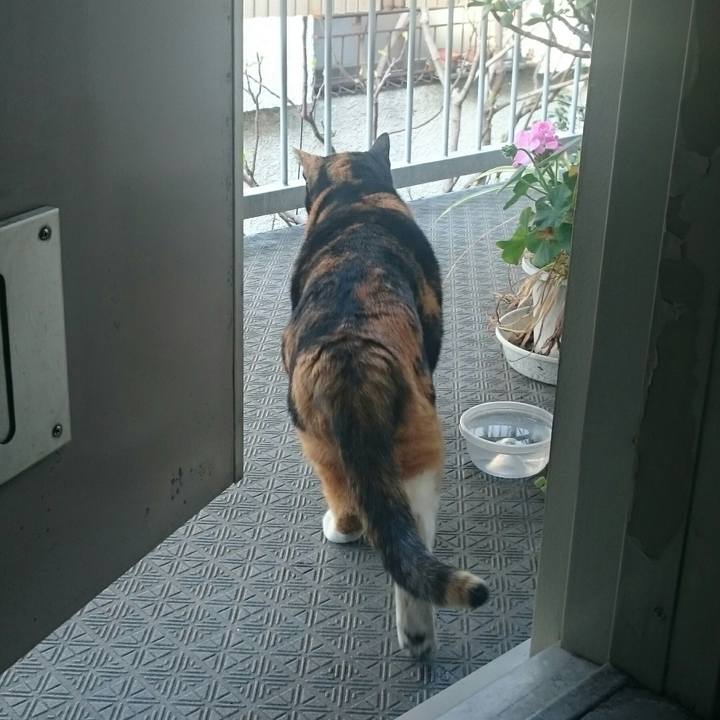 99384654 ee0b 4890 8a53 f48aa87cabdb 1522480876179