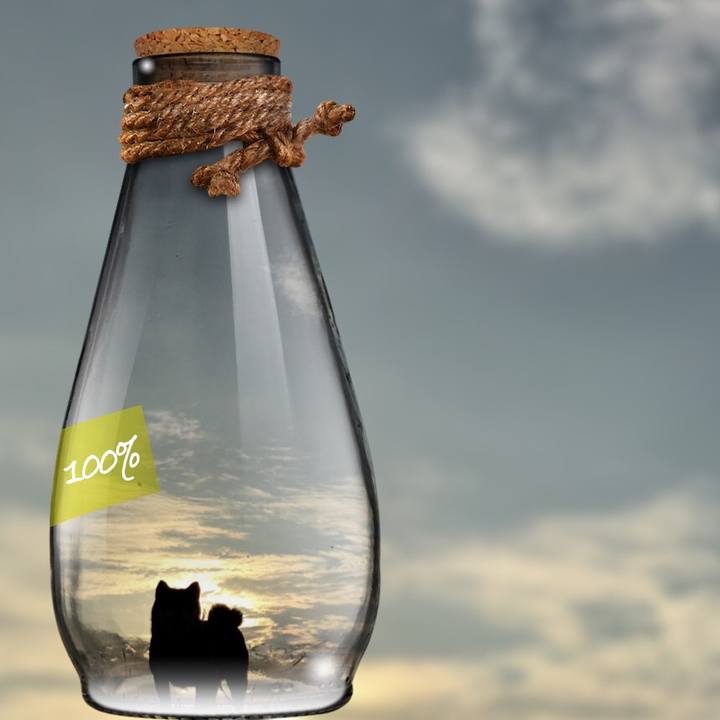 99386b98 2ed1 465b a745 226077ef61e9 1532185150369