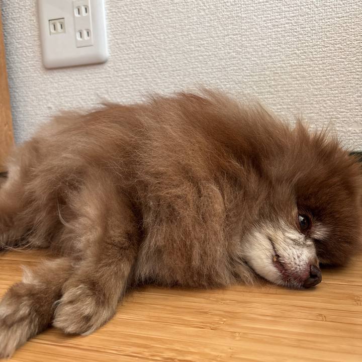 993874c1 06a5 4196 8e33 5b0cea96eef5 1740787419922