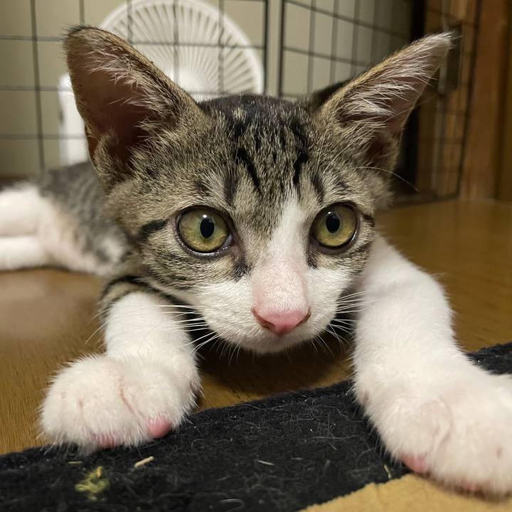 99388ea6 774c 4f41 a5e8 ebecc0cdd1b7 1722870099705