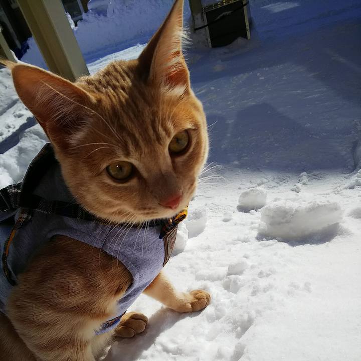 9938d51c b9a6 4185 bc1b af8822a62f04 1549848761130