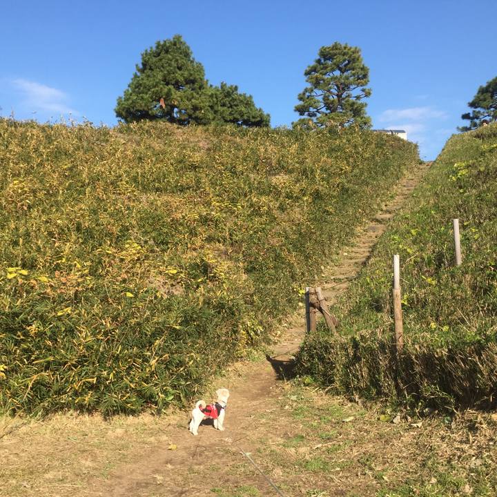 9938f15f 6fe6 420c 827d e0b99336794f 1512285583635