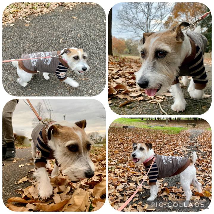 993941eb c713 40ae 9b3a 06c4e07616b5 1670794601435