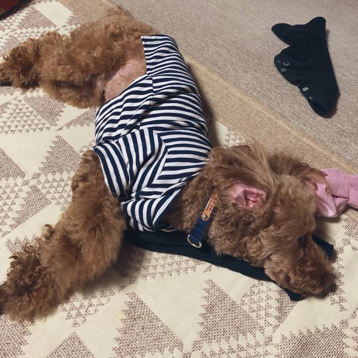 99397cf7 3f4f 4052 a3f5 6b5add4cd3df 1558260645064