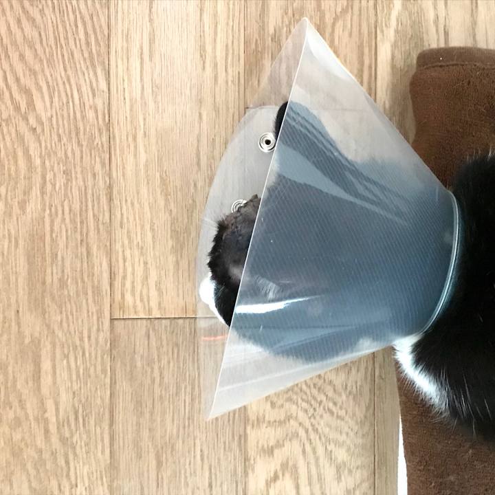 9939bf7c aad6 4316 a6e9 e54e084cc5b2 1579935095628