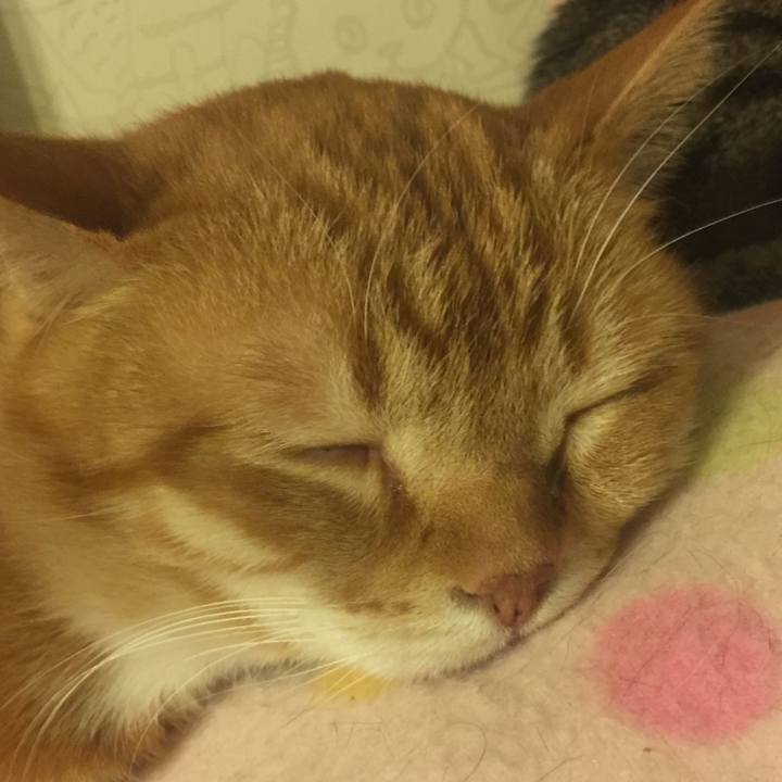 9939c66c 1084 4eb1 98f3 bbf3b49b554b 1552921121127