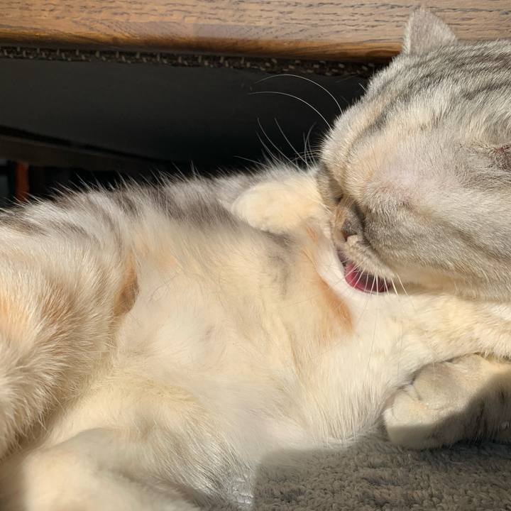 9939e389 1713 4c40 8c36 2a1635e6566f 1707524765719