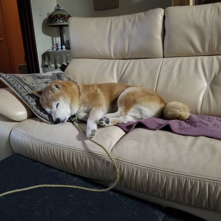 9939ea19 b209 402b ba94 00a2b13fc00e 1699186804600