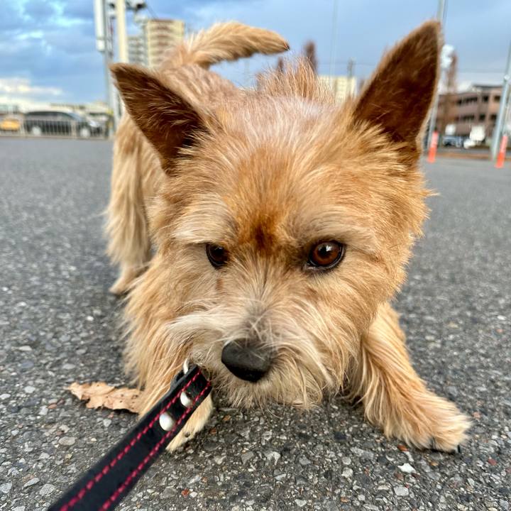 993a06ed e5ce 420e a3d4 95240eb96f49 1736265886486