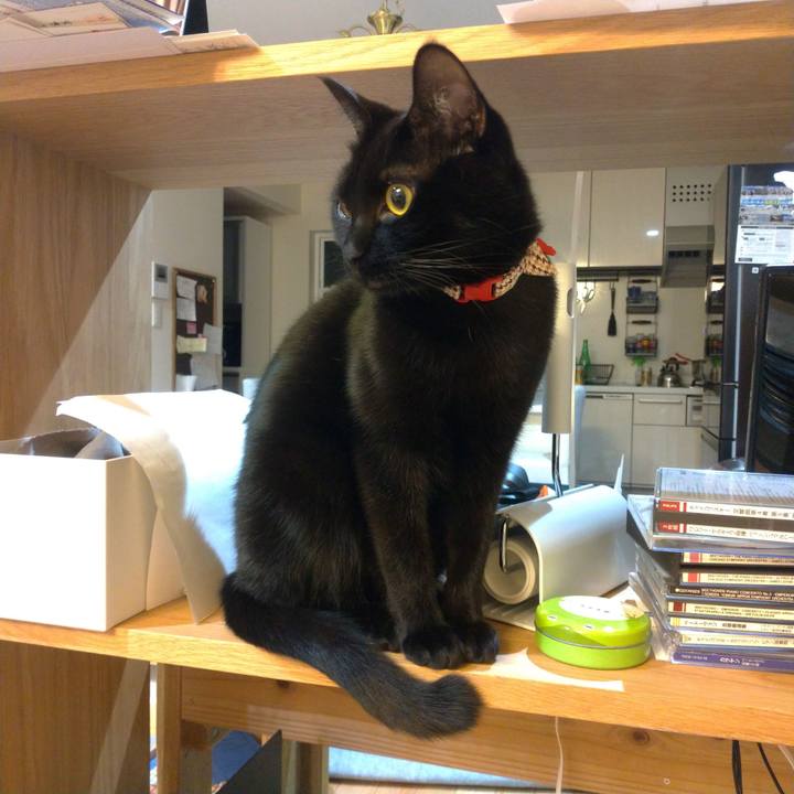 993a239f ba86 4518 8d02 31328794bb09 1547476277296