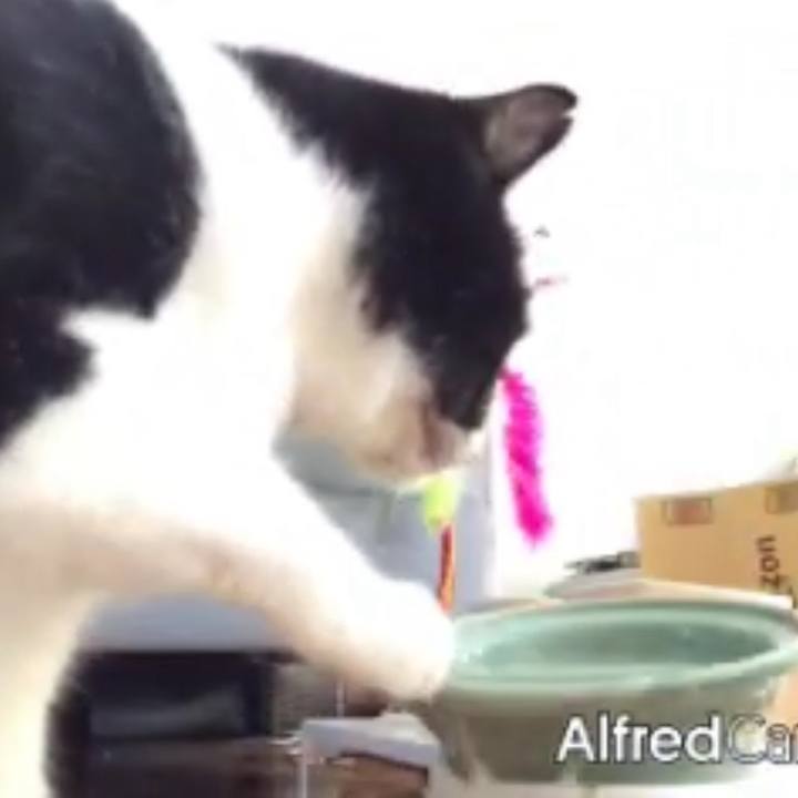 993a35fe 446d 433a 9df4 efe3148f324a 1702025185337