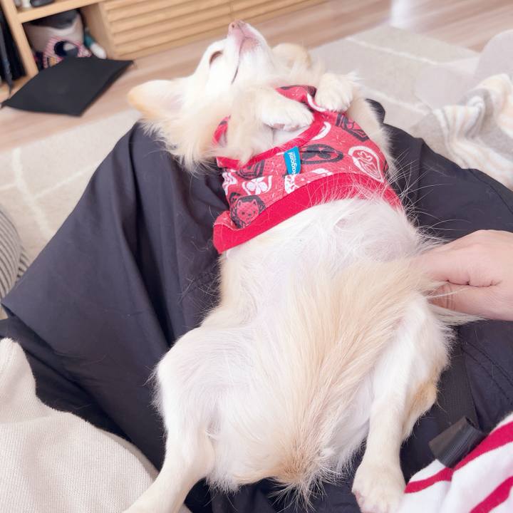 993a5f5e 4d76 45f9 baaa 4101d783ec45 1742904437236