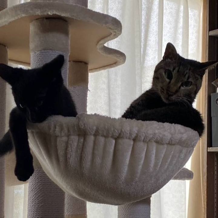 993a6782 670c 43d6 afbe 43d245457bd9 1763990050521