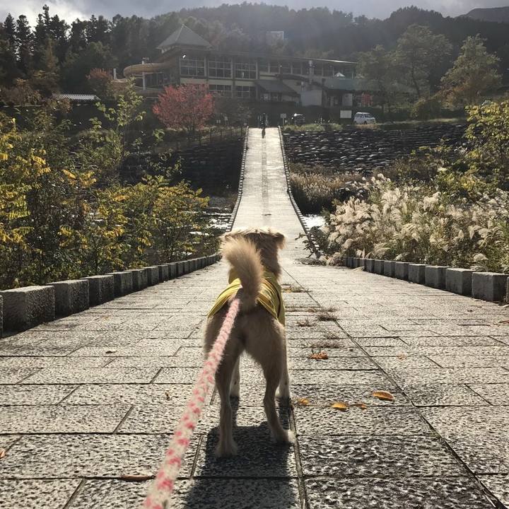 993a8714 4c9e 4367 9fc8 d0e44f12448d 1509845376189