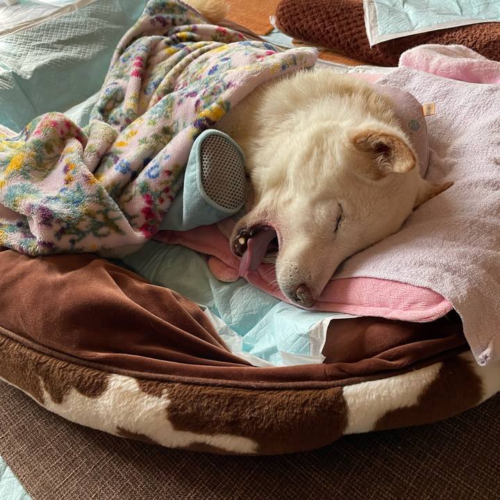 993a89ca 7aab 4a2c af00 36f3c1657646 1673841450595