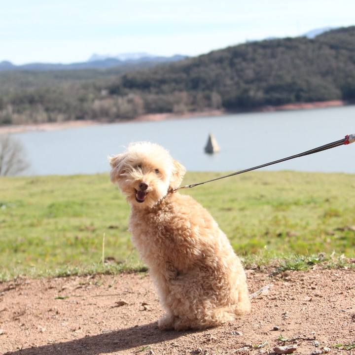 993aaaac a77f 45ac 86c2 ce4e99c4bff9 1522864262094