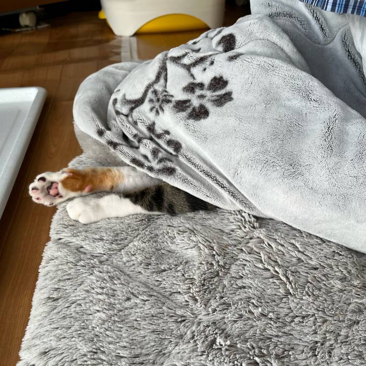 993afd41 f327 4297 9708 5f8d61bc15c9 1702420341602