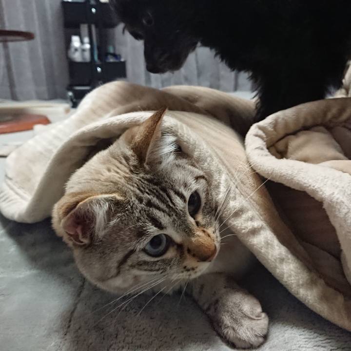 993b3bc6 81d1 414f 8aeb b7c4b1cd34d8 1521818076267