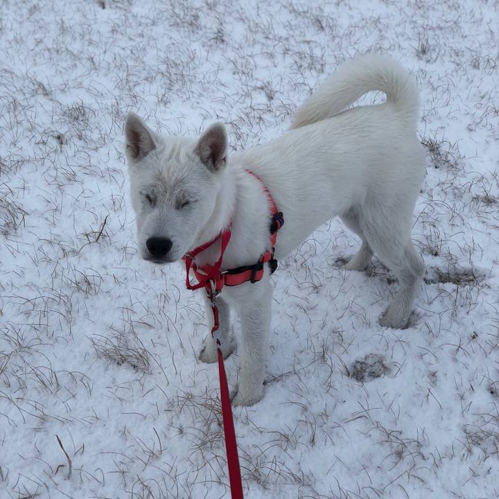 993b5f19 5617 46cd 8b12 eb80a8f5e5b3 1517876957938