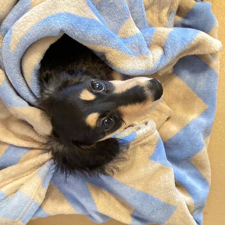 993b6da8 ccea 4d51 93fe d3e0fe69aeb5 1669852684904