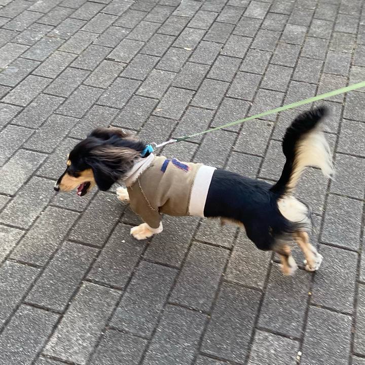 993b77cb 95cd 4863 b4cc b1a11011e281 1702189804477