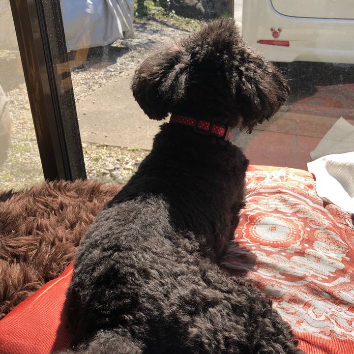 993b904b ece4 4a65 a0d9 9ace68747d8d 1584665393993