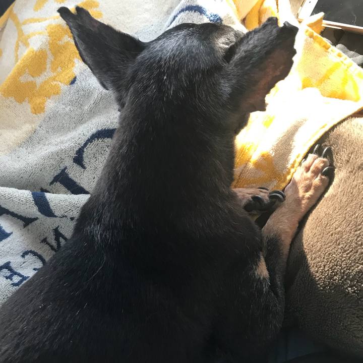 993c0ab5 4396 4941 bdc4 a590de40714f 1565392986935