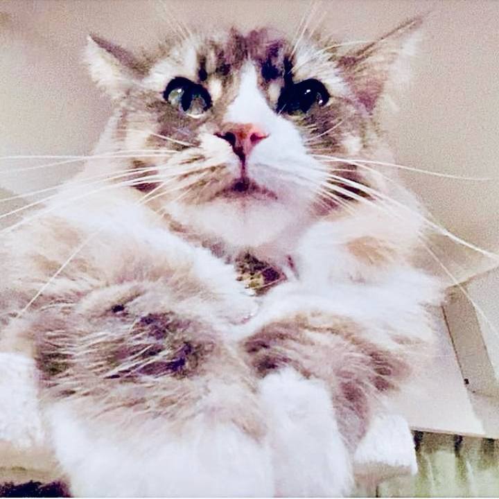 993c0d89 7519 4f52 a733 3a787f8aba16 1735485730555