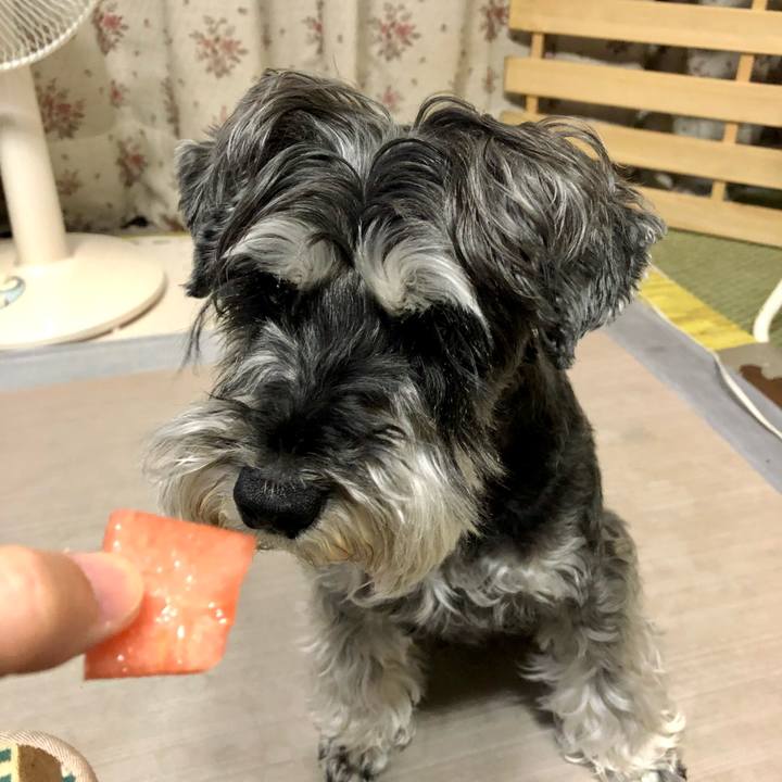 993c0f97 63ae 439f b27e f84e0de81ec0 1655336876727