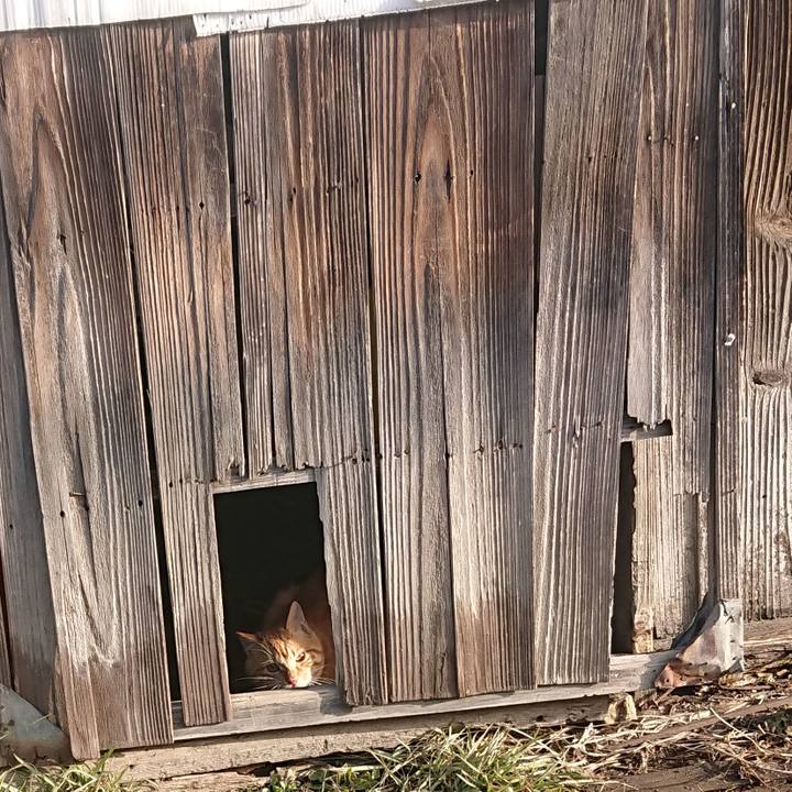 993c35ee 82da 495b 8d18 f1c2c1d4a07d 1647389922857