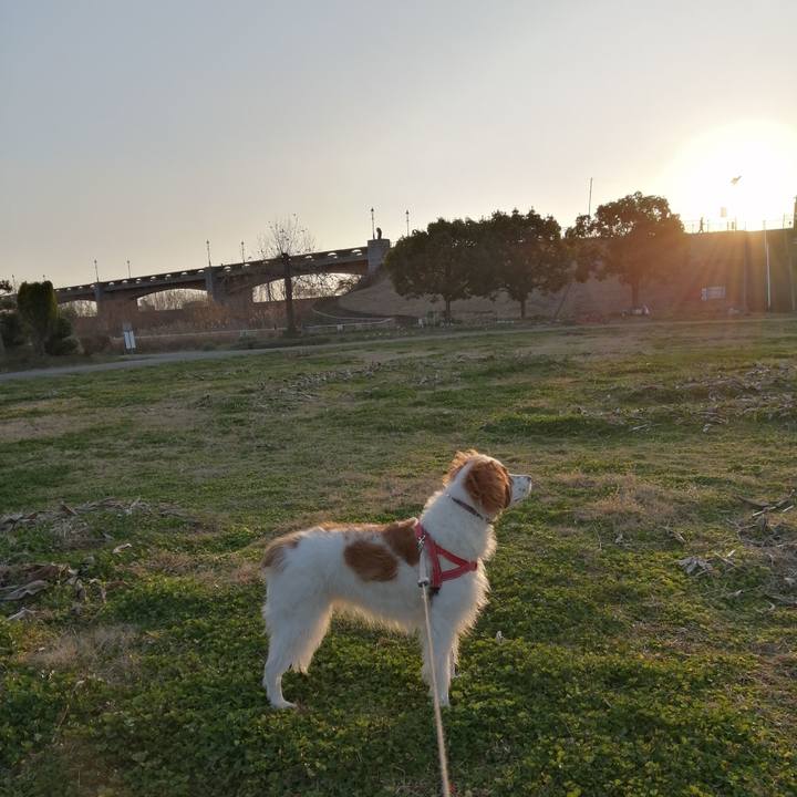 993c427c 12db 447f af1a 6b5b82400c77 1581593857575