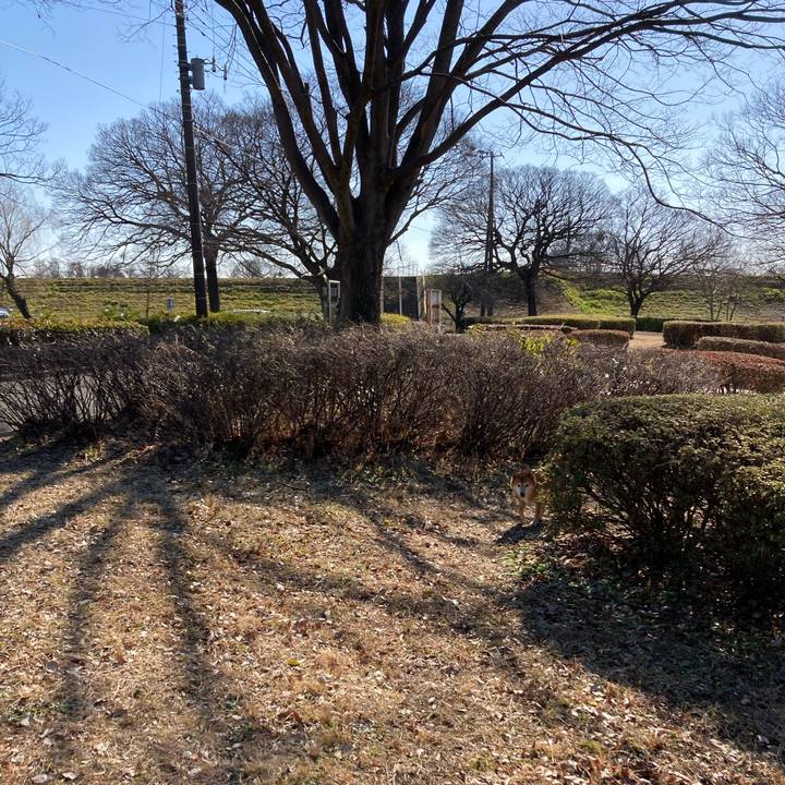 993c49a5 3fc4 4715 b5c3 45c11e23e92f 1643697305344