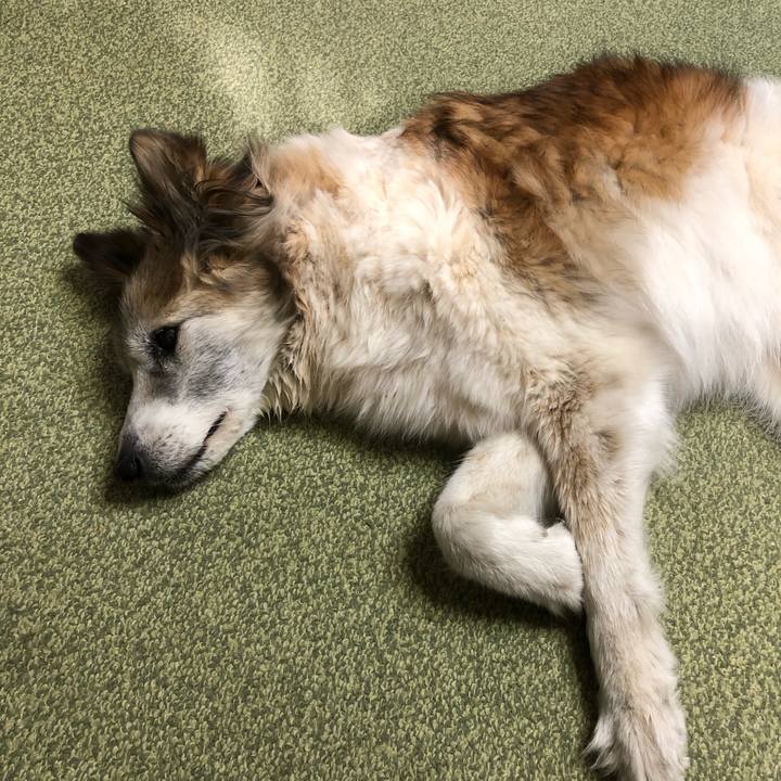 993c6ba1 92d3 4a39 9c8d 5e07bccc8001 1551229930703