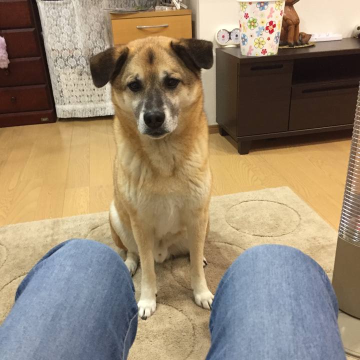 993c6e82 7edc 4b26 ba71 d88e882565e6 1523615661151