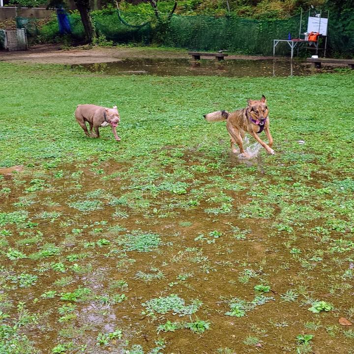 993c708c d22e 4d4b 8c85 6cccb448b619 1749948781204