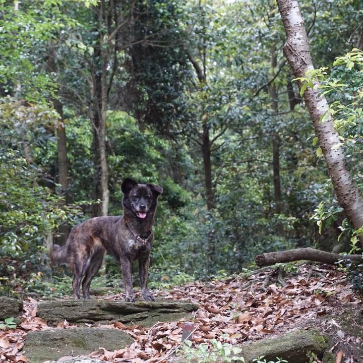 993c9372 7328 417b 9f9f 4eb18aab5eed 1529071006940