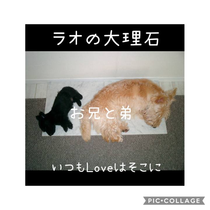 993d0c75 dd80 4db0 9f4c 99fa0e4a40a6 1566388223634