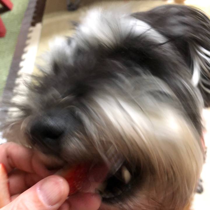 993d3f2e aba8 4aed a4cb f14925a86cfc 1554808305498