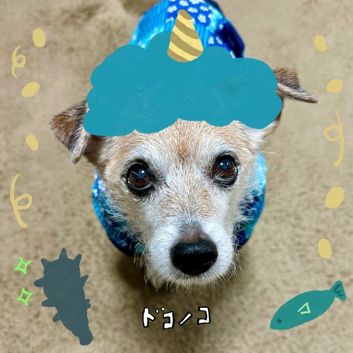 993d6517 4004 4dd4 a9b9 9fe54bfafbc1 1706917226749