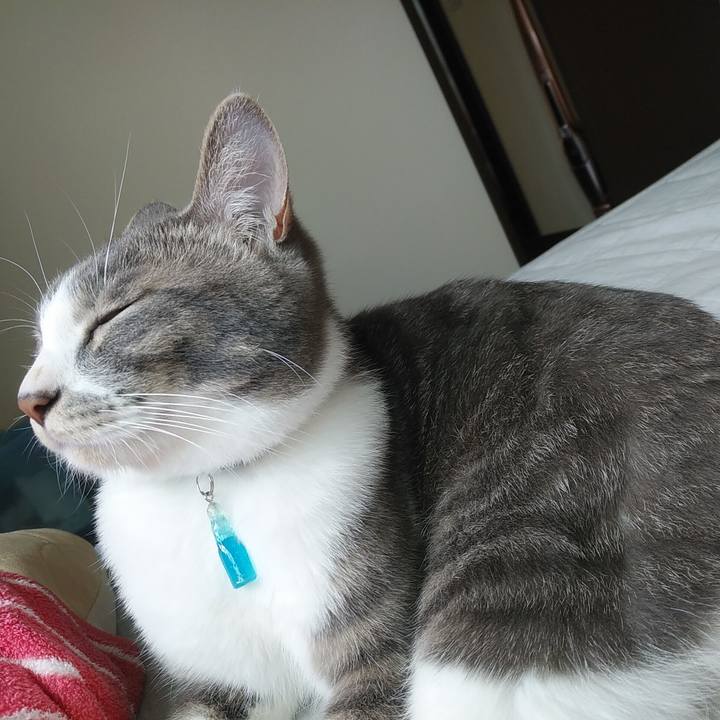 993d6e1c 2523 43f0 9fa4 97977e94d1e6 1590448286856