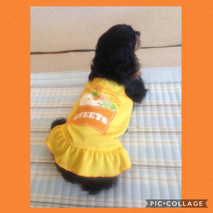 993d837a 2d8f 4e45 a061 3ac99b138769 1567573918319