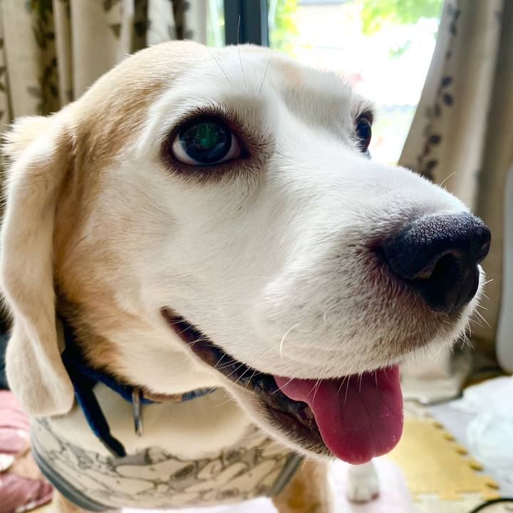 993da200 91f4 44db 9018 17ec649bab61 1620186237654