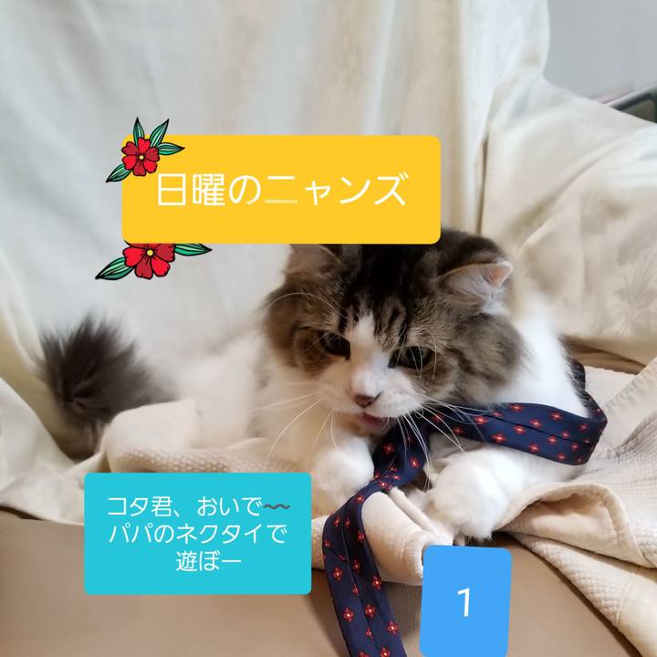 993dbb42 3c97 4d8b a0ac 3179d146024d 1544954513224