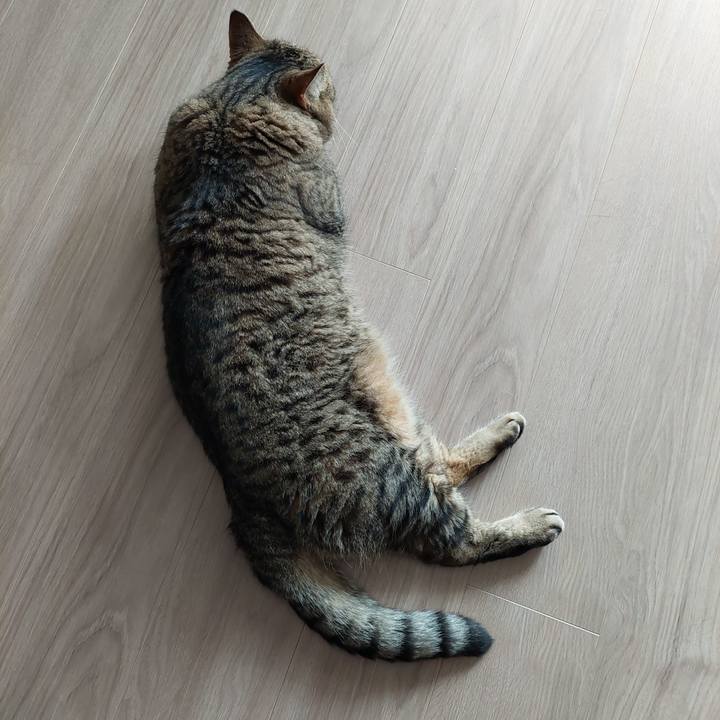 993ddc6f d3ab 4b48 9592 bf5e1c9e2753 1662854882160