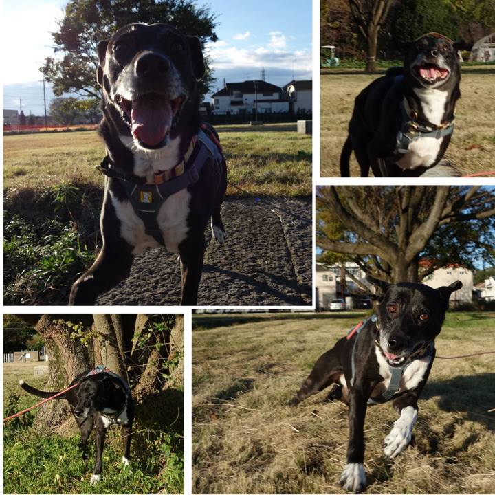 993e043f 6c5f 4c8b 8dd1 c834ac005288 1732322800299