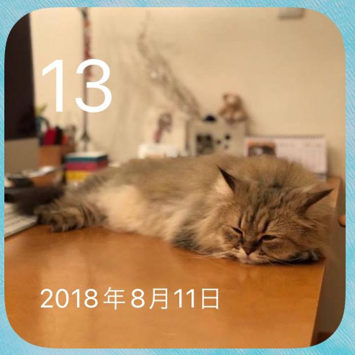 993e2d54 4df4 4906 a275 5b55c1cef449 1660382116097