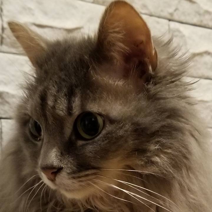 993e3960 7f3e 4089 b8a8 1eb8547c794f 1590842251340